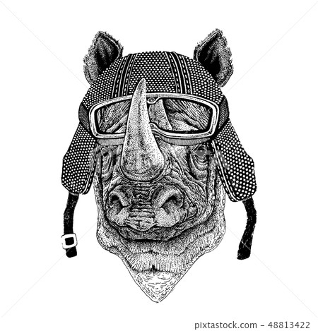 Animal wearing motorycle helmet. Image for kindergarten children clothing, kids. T-shirt, tattoo Animal wearing motorycle helmet. Image for kindergarten children clothing, kids. T-shirt, tattoo 48813422