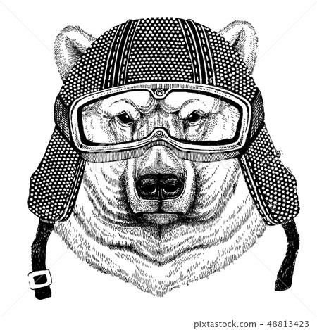 Animal wearing motorycle helmet. Image for kindergarten children clothing, kids. T-shirt, tattoo Animal wearing motorycle helmet. Image for kindergarten children clothing, kids. T-shirt, tattoo 48813423
