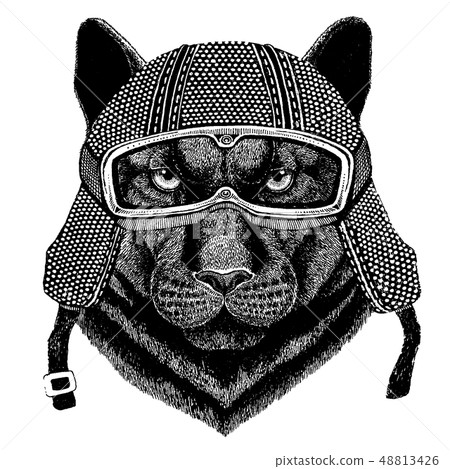Animal wearing motorycle helmet. Image for kindergarten children clothing, kids. T-shirt, tattoo Animal wearing motorycle helmet. Image for kindergarten children clothing, kids. T-shirt, tattoo 48813426