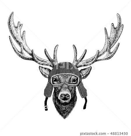 Animal wearing motorycle helmet. Image for kindergarten children clothing, kids. T-shirt, tattoo Animal wearing motorycle helmet. Image for kindergarten children clothing, kids. T-shirt, tattoo 48813430
