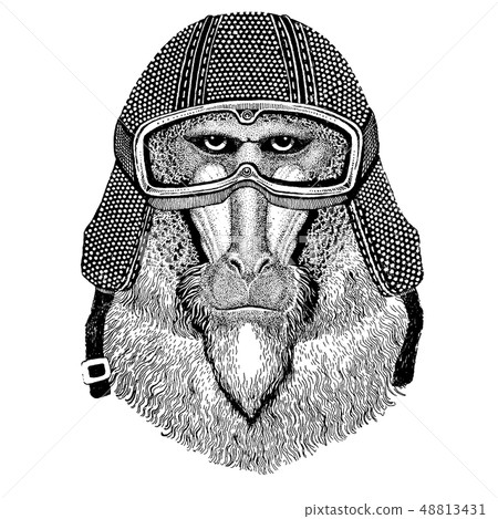 Animal wearing motorycle helmet. Image for kindergarten children clothing, kids. T-shirt, tattoo Animal wearing motorycle helmet. Image for kindergarten children clothing, kids. T-shirt, tattoo 48813431