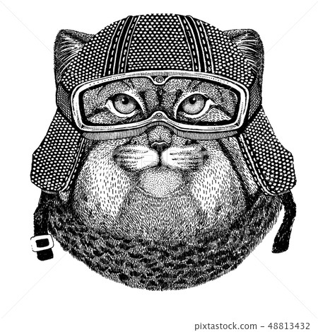 Animal wearing motorycle helmet. Image for kindergarten children clothing, kids. T-shirt, tattoo Animal wearing motorycle helmet. Image for kindergarten children clothing, kids. T-shirt, tattoo 48813432