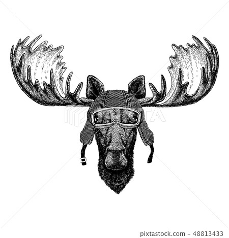 Animal wearing motorycle helmet. Image for kindergarten children clothing, kids. T-shirt, tattoo 48813433