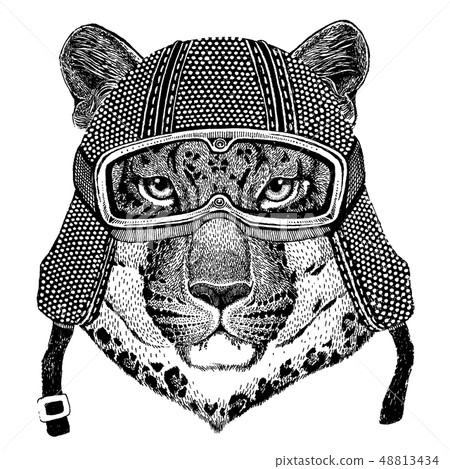 Animal wearing motorycle helmet. Image for kindergarten children clothing, kids. T-shirt, tattoo Animal wearing motorycle helmet. Image for kindergarten children clothing, kids. T-shirt, tattoo 48813434