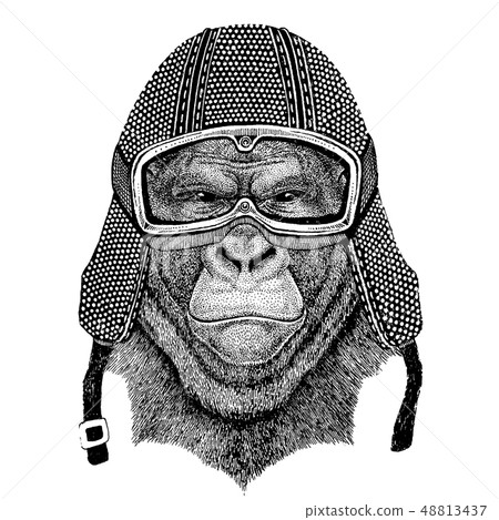 Animal wearing motorycle helmet. Image for kindergarten children clothing, kids. T-shirt, tattoo Animal wearing motorycle helmet. Image for kindergarten children clothing, kids. T-shirt, tattoo 48813437