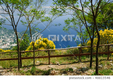 Capri island, view of Faraglioni 48813546