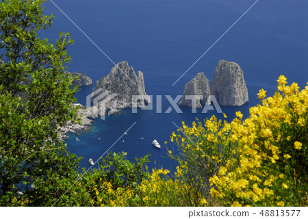 Capri island, view of Faraglioni 48813577