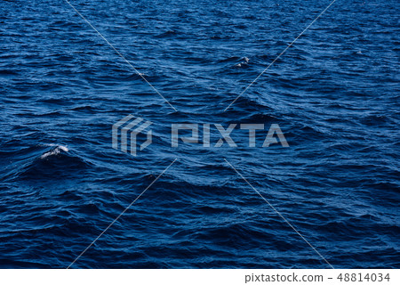 calm blue sea ocean with beautiful texture on the 48814034