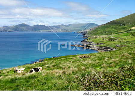 Landscape view in West Kerry, Beara peninsula in Ireland Landscape view in West Kerry, Beara peninsula in Ireland 48814663