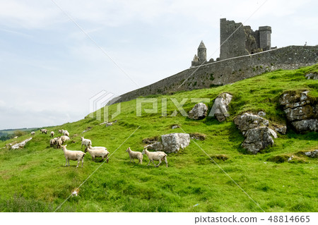 The Rock of Cashel, County Tipperary in Ireland. The Rock of Cashel, County Tipperary in Ireland. 48814665