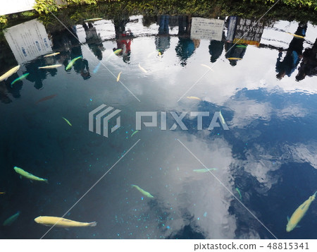 Oshino Hakkai Oshino Hakkai 48815341