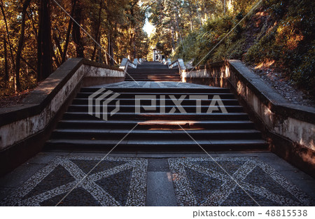 Typical stone floor of Lisbon 48815538