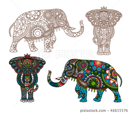 Vector Indian elephant Vector Indian elephant 48815576