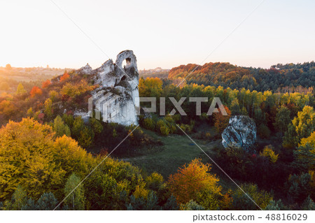 forest, landscape, rock 48816029