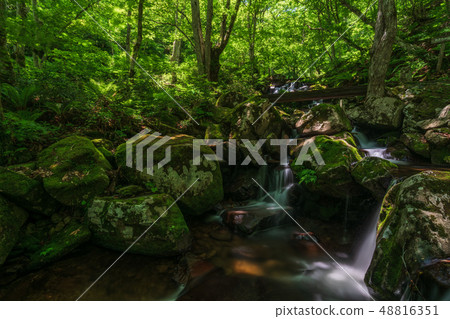 新鮮的綠色Utsugawa Yotsuya 8瀑布 48816351