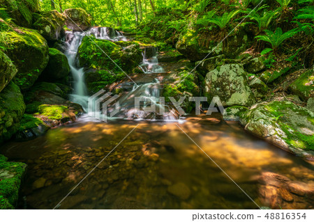 新鮮的綠色Utsugawa Yotsuya 8瀑布 新鮮的綠色Utsugawa Yotsuya 8瀑布 48816354