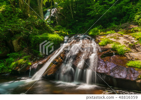 新鮮的綠色Utsugawa Yotsuya 8瀑布 48816359