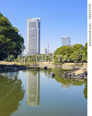 摩天大樓反映在池塘和東京塔（垂直） 48816708