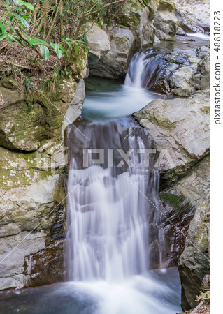 [河津七at惠比瀑布] 48818223