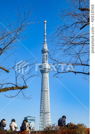 [東京]從淺草看到的天空樹 48818568