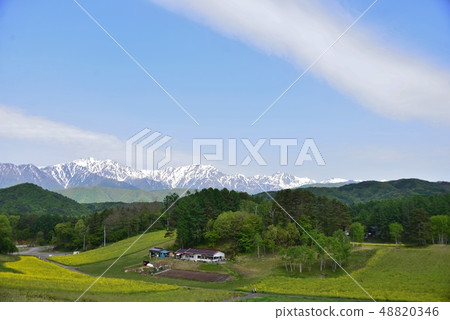 春天中山高原 春天中山高原 48820346