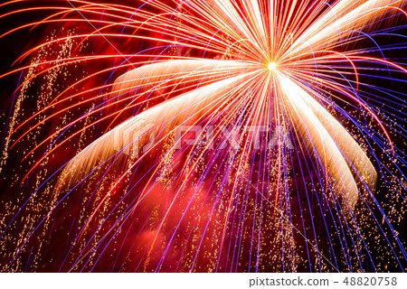 二子玉川煙花 二子玉川煙花 48820758