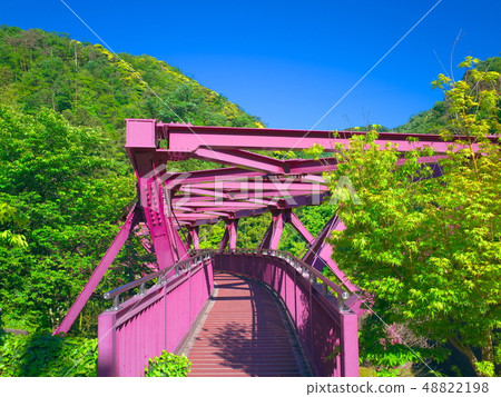 Ayari strike 48822198