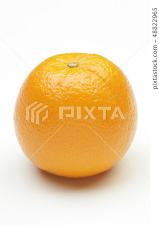 臍橙 48822965