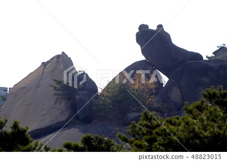 Inwangsan, rock, mountain 48823015