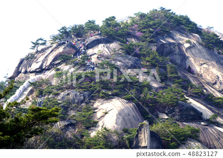 Inwangsan, summit, forest 48823127