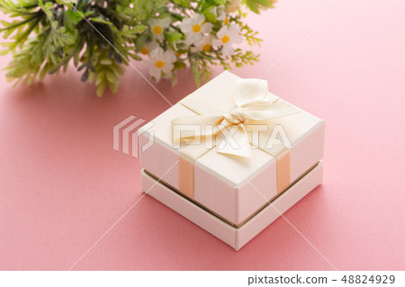  禮物 48824929