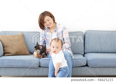 Family Dogs Indoor dogs Family Dogs Indoor dogs 48825215