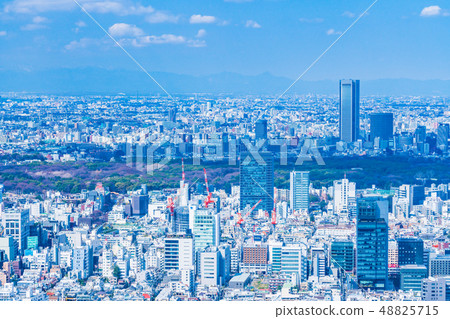 東京都市風景春天 東京都市風景春天 48825715
