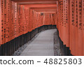 red torii gates of famous landmark Fushimi Inari  48825803