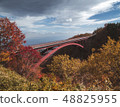 Autumn scenery of the Bandai Azuma Skyline 48825955