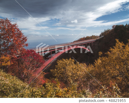 Autumn scenery of the Bandai Azuma Skyline 48825955