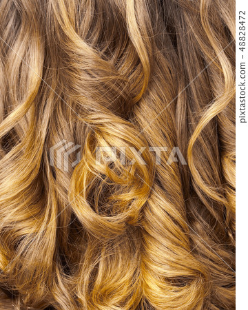 Hair. Hair Texture. Healthy hair 48828472