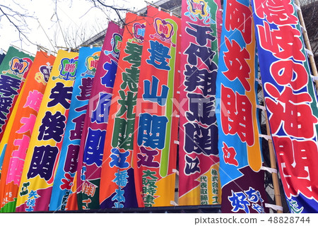 Sumo wrestler Sumo wrestler 48828744