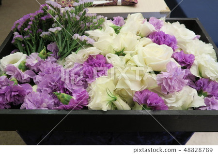 Farewell Flower 48828789