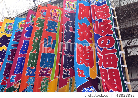 Sumo wrestler 48828885