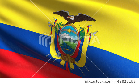 Ecuador national flag blowing in the wind 48829195