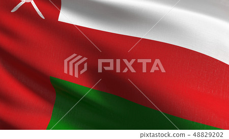 Oman national flag blowing in the wind isolated. 48829202