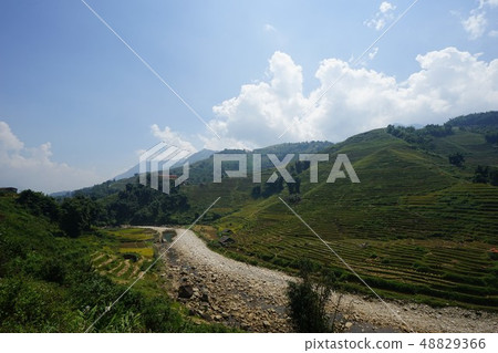 vietnam, Sa Pa, scape 48829366