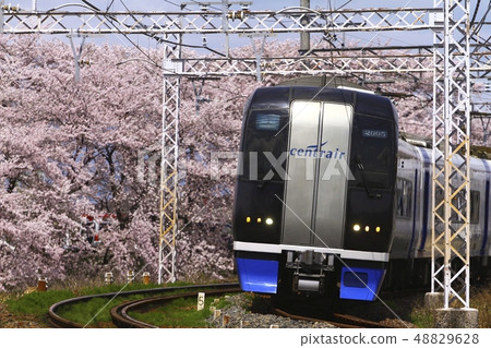 Airport limited express mu sky and cherry blossom Airport limited express mu sky and cherry blossom 48829628