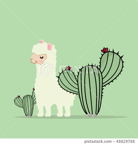 Cute lama alpaca with cactus Cute lama alpaca with cactus 48829788