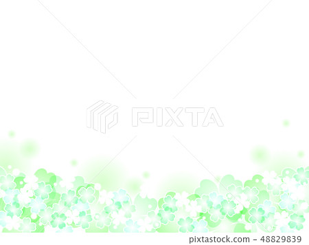 三葉草背景 48829839