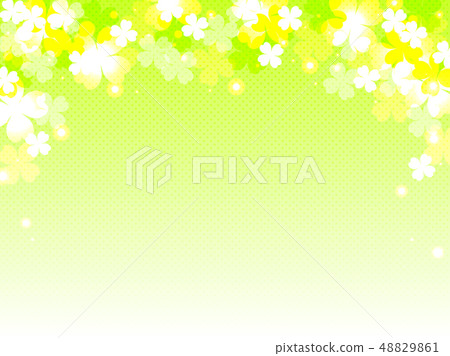 Clover background Clover background 48829861