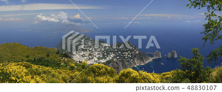Capri, view with broom from Monte Solaro 48830107