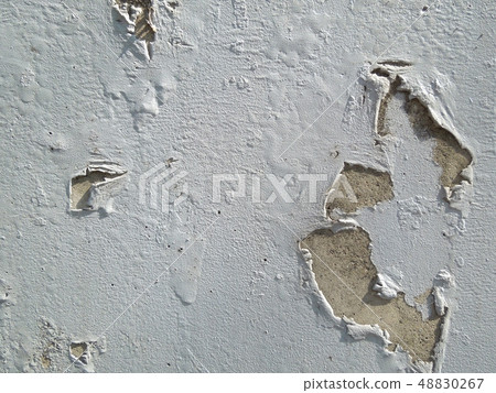 剝漆 剝漆 48830267