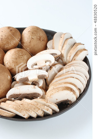 Brown mushroom segmentation Brown mushroom segmentation 48830520